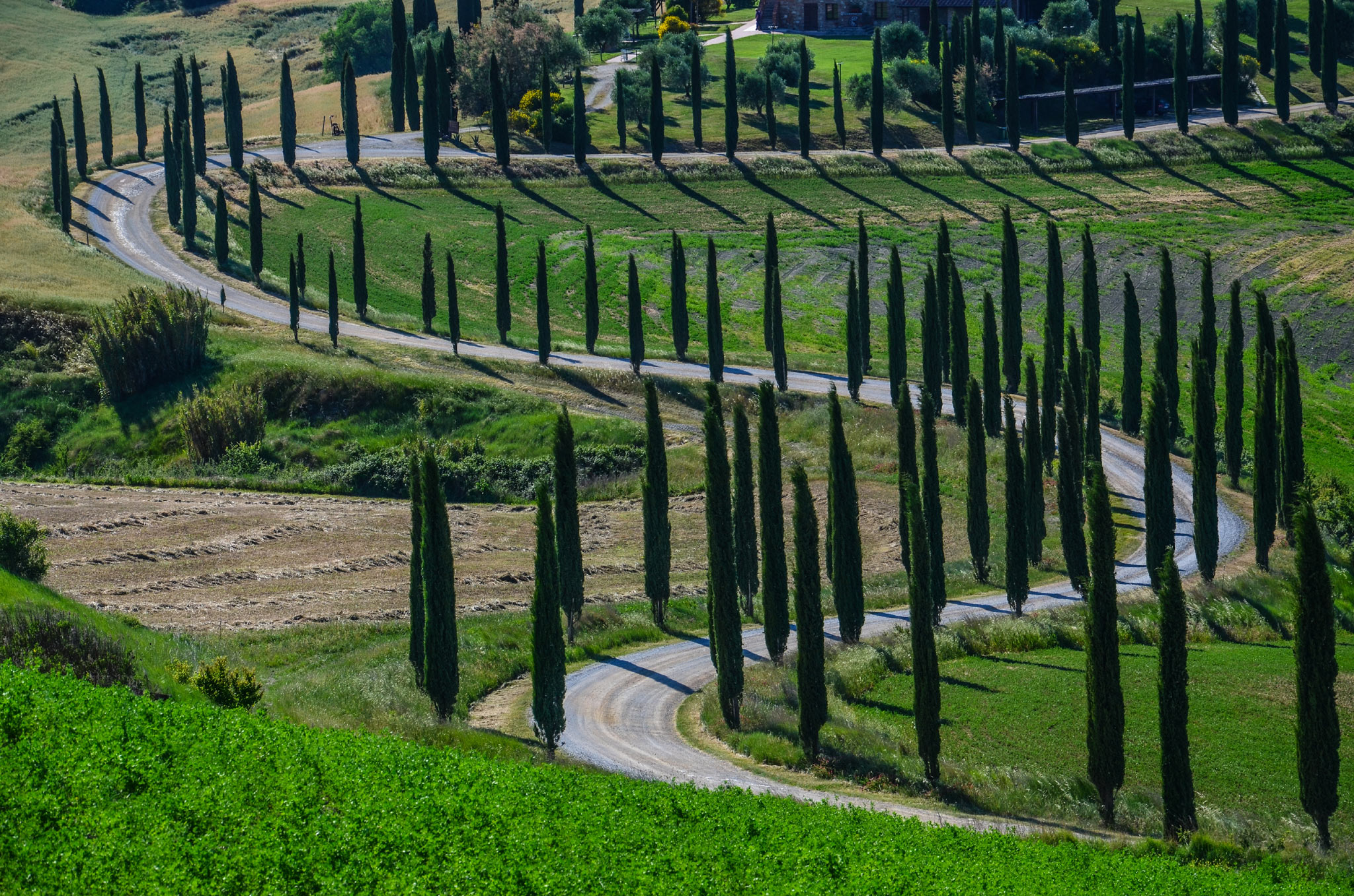 Podere Vaccareccia di Sotto, Asciano